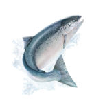 Omega-3 Contine proportia optima de 8 acizi grasi nesaturati, sa sustina sanatatea functiei cardiovasculare, scad trigliceridele si colesterolul.